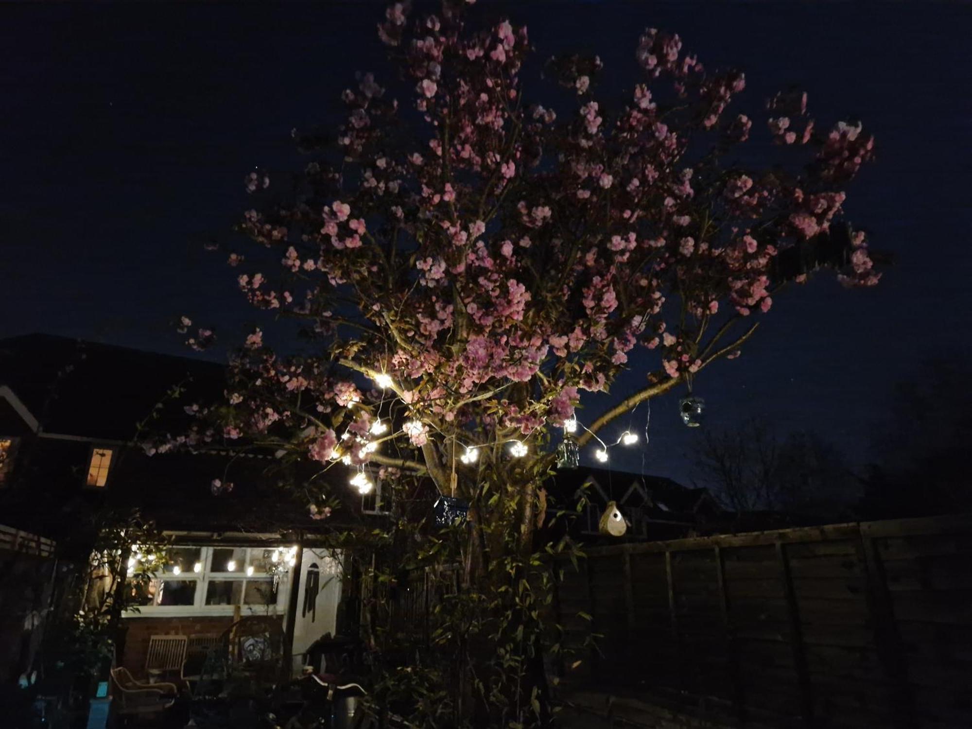 Lotus Pod House Homestay Horsell Exterior foto